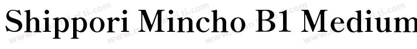Shippori Mincho B1 Medium字体转换